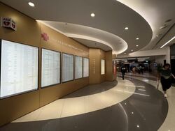 Mount Elizabeth Hospital (D9), Retail #454000001